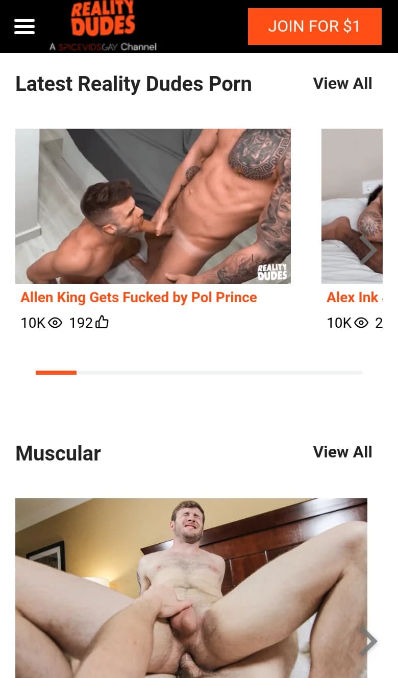 Screenshot of RealityDudes