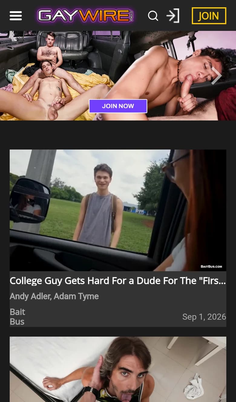 Screenshot of GayWire