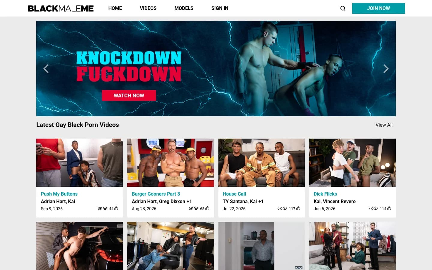 Screenshot of BlackMaleMe