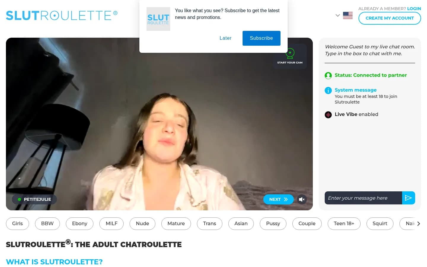 Screenshot of SlutRoulette